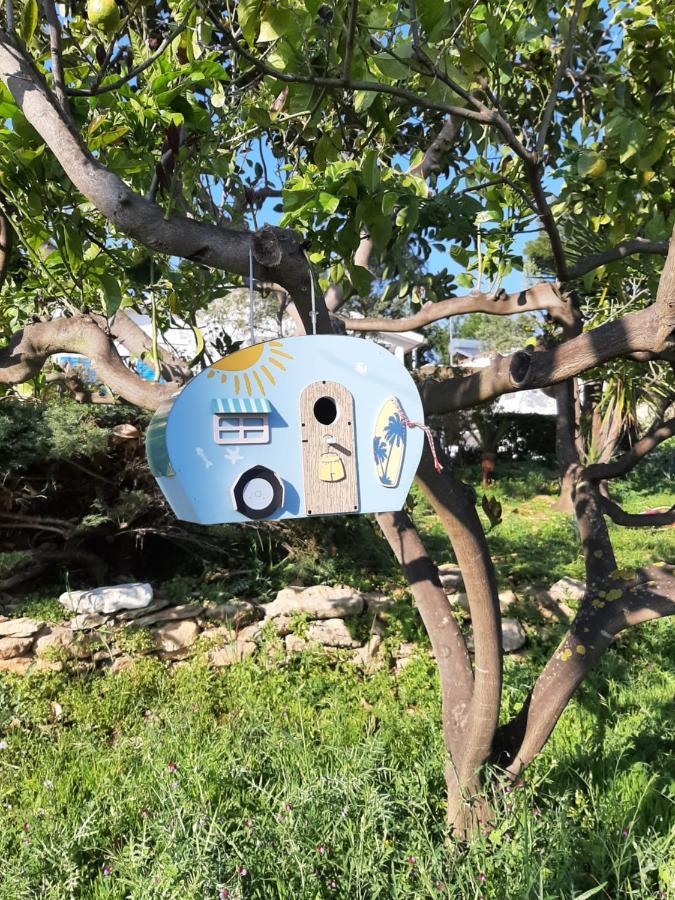 Holiday Home שאקה מראה חיצוני תמונה