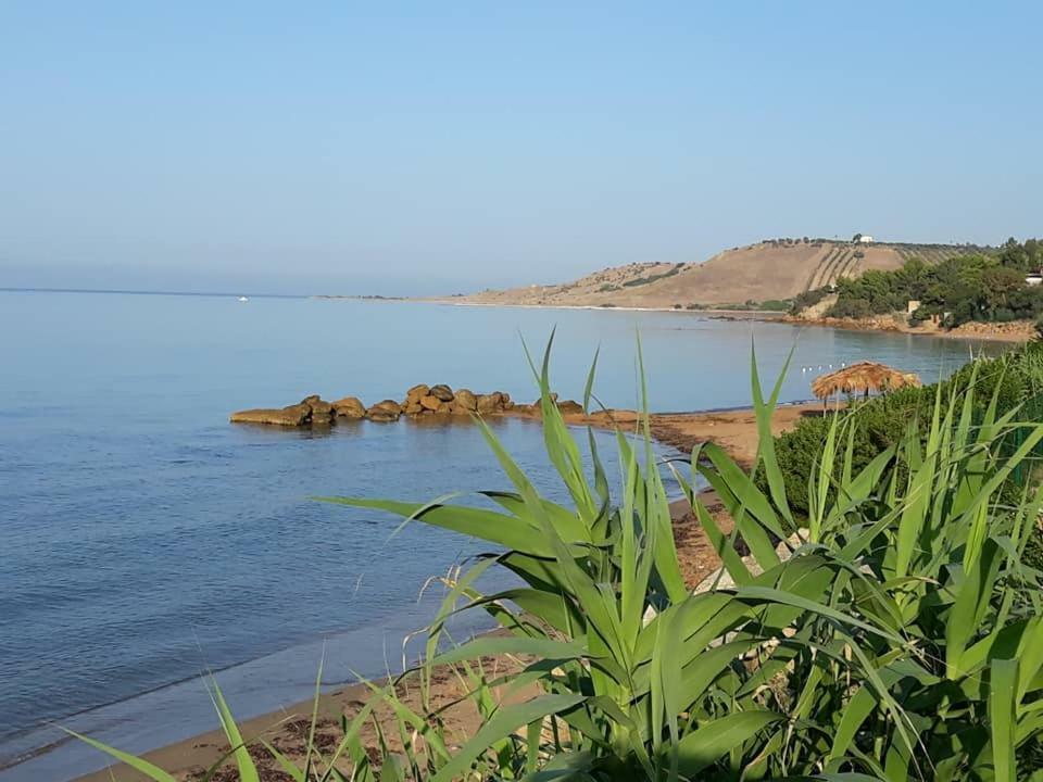 Holiday Home שאקה מראה חיצוני תמונה